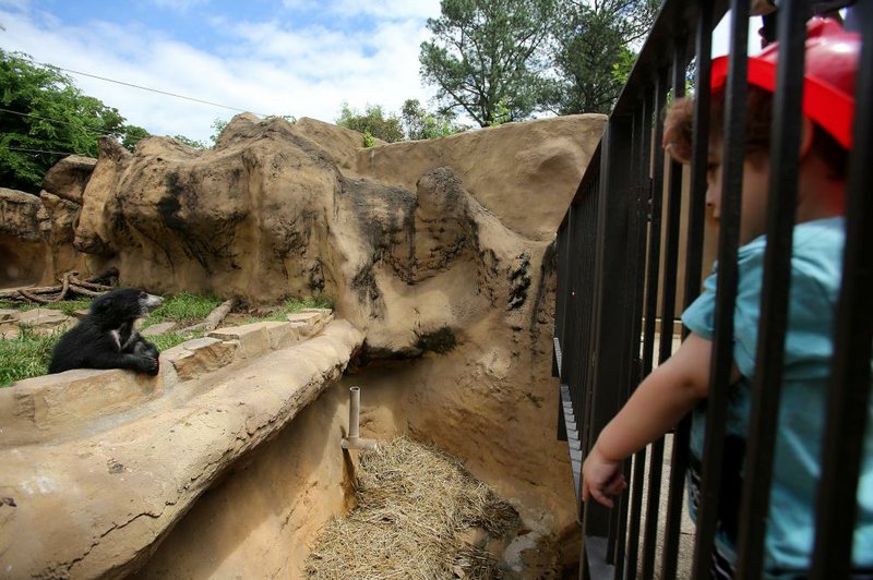 Little Rock Zoo Task Force